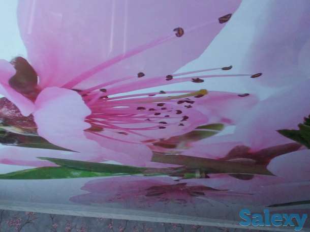 Натяжные потолки, фотография 5