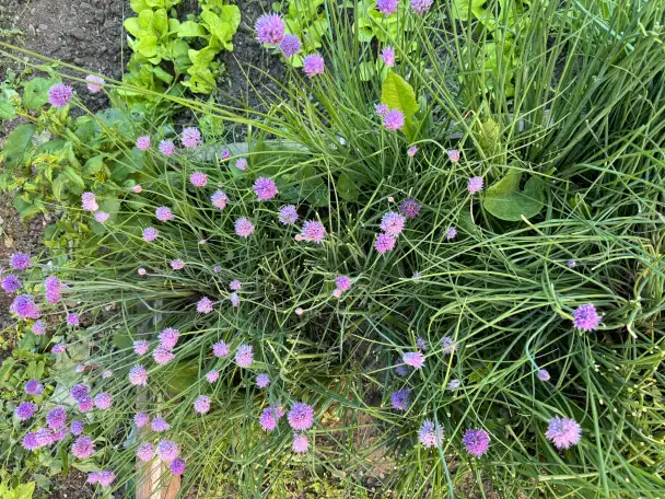 Продажи или меняю  дом, фотография 12