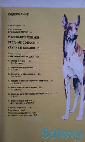 Продам книгу о собаках, фотография 1