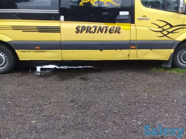 пассажирские перевозки, выезд в горы, на природу, фотография 4