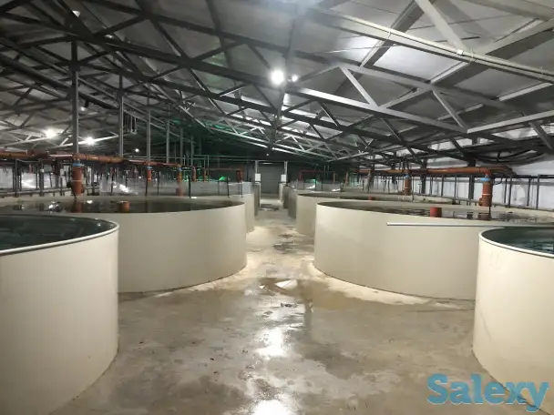 Рыбовод, фотография 1