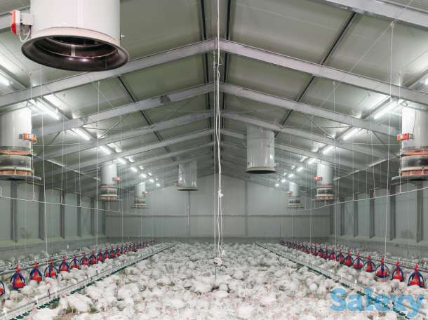 требуются разнорабочие на сборку птичников легкие метало-конструкции вахта, фотография 1