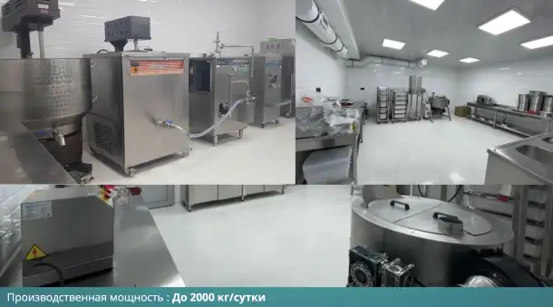 Производство турецкого мороженого по цене активов, фотография 2
