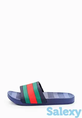 Сланцы t.taccardi, фотография 1