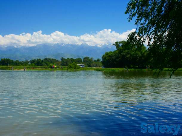 Видео-Фото, фотография 10