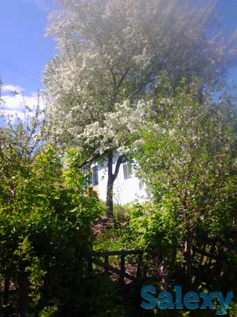продажа дачи, район гэс, фотография 3
