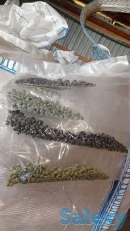 Полипропилен. Вторичные полипропиленовые гранулы, фотография 4