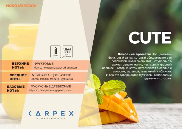 Carpex Ароматические E2  картриджи 125 МЛ, фотография 3