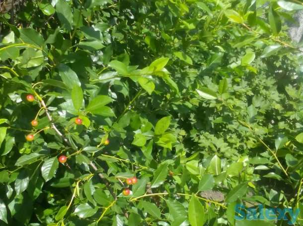 2х этажный дом в живописном месте России, фотография 4