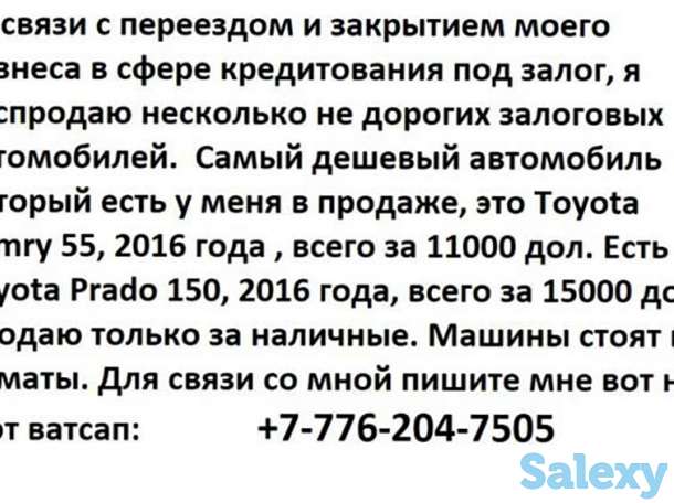 Цецкпс риуцрк оукоукт Porsche, фотография 1