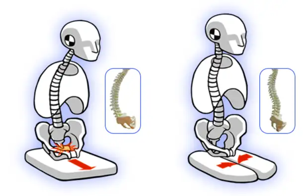 Офисное кресло Hara Chair PASCAL ортопедическое Ю.Корея, фотография 6
