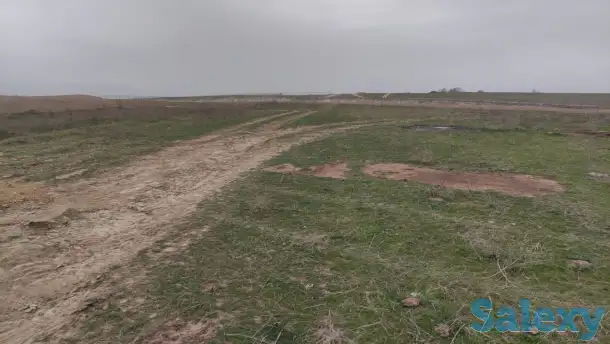 Продам участок 2,29Га КХ, фотография 4