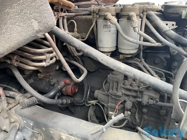 Man, фотография 4