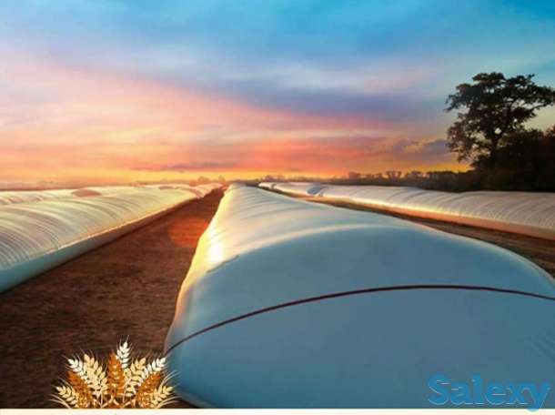 Агромешки (Аргентина). Прямые поставки, фотография 1