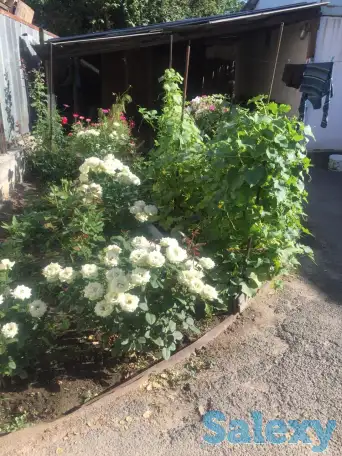 Продам дом, Ыкылас 27а, фотография 20