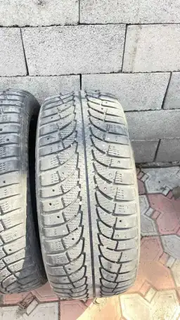 Зимние шипованные, фотография 1