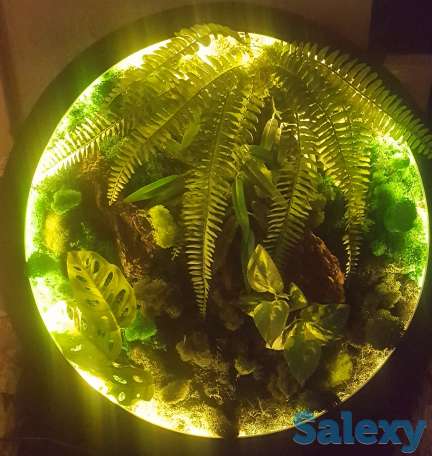 Картина, фотография 1