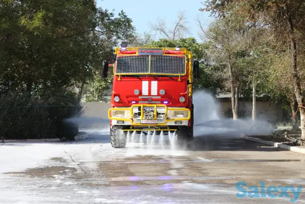 Автоцистерна пожарная АЦ 3,0-50/4 на базовом шасси КамАЗ-43502 «Крона», фотография 13