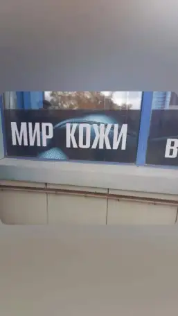 Мси шью, фотография 11