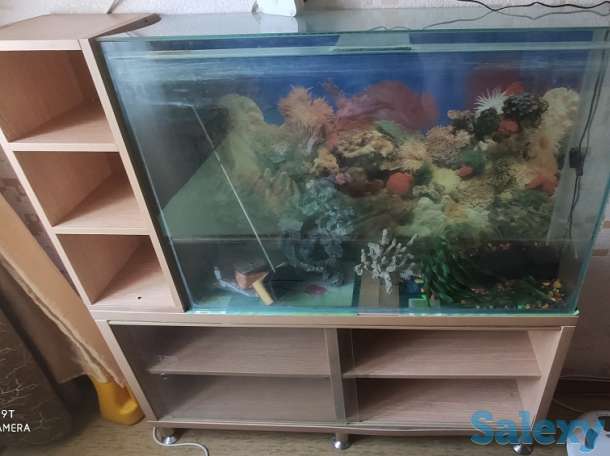 Продам дешево, панорамный аквариум с крышкой 93х63х23(135литров), фотография 1