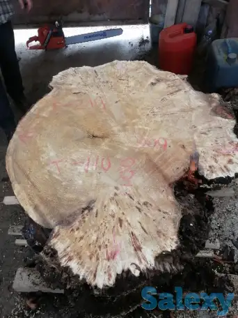 Слэбы от производителя из дуба, шпальтового бука, капового тополя, вербы, капового карагача, ясеня., фотография 10