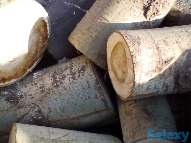 Дрова в мешках, колотые,чурками,хорошие., фотография 1