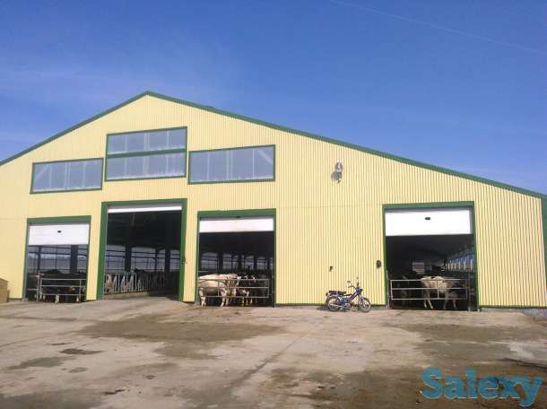 Ангары, автомойки, фермы, склады из металлоконструкций, фотография 9