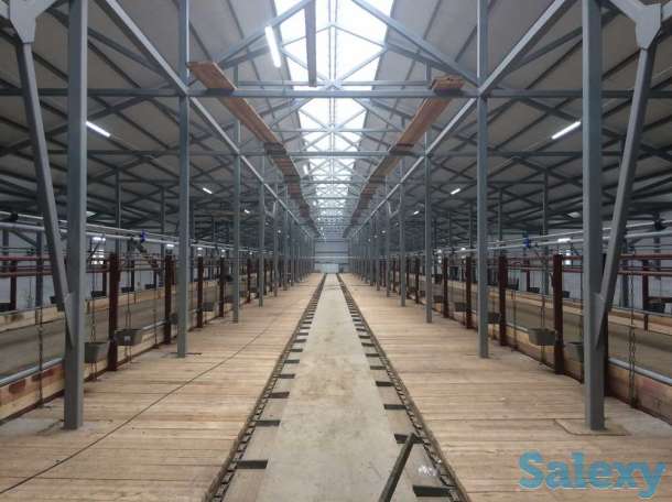 Ангары, автомойки, фермы, склады из металлоконструкций, фотография 6