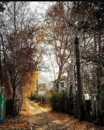 Дача, фотография 10