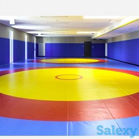 Набор детей в секцию вольной борьбы, фотография 2