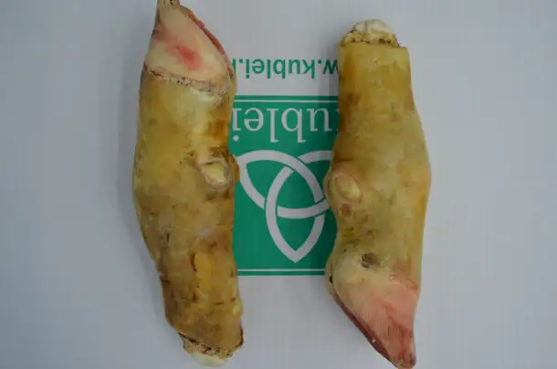 Продажа Говядины, Баранины и Субпродуктов, фотография 5