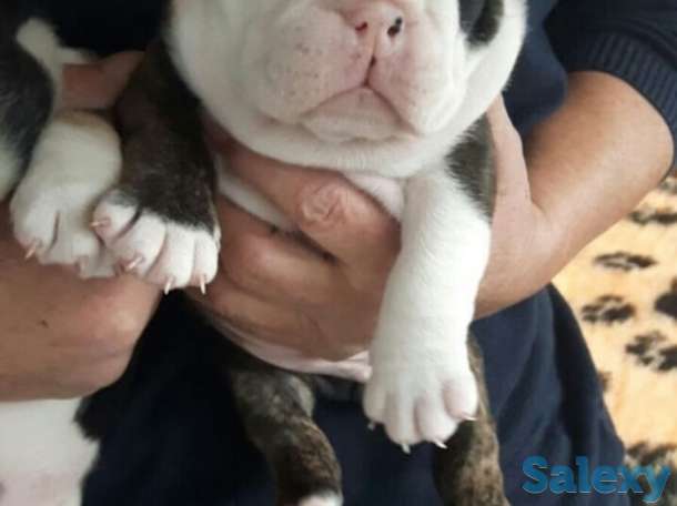 Красивый мальчик, фотография 3