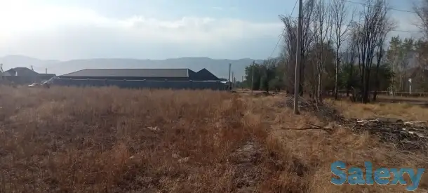 Продажа ровных участков в Узынагаш., фотография 4