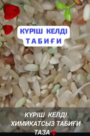 Бурый Рис, фотография 3