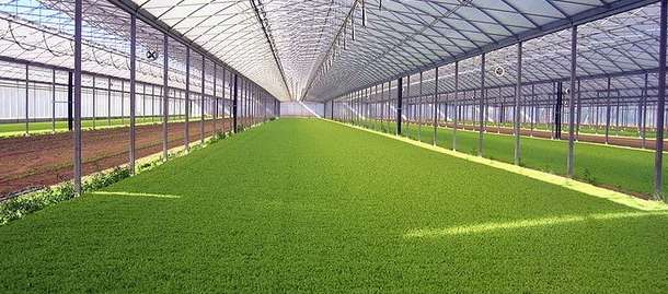 производство и строительство теплиц, фотография 2