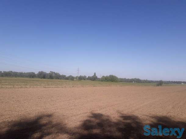 Продам участок га, Алматинская обл., р/н., Белбулак, фотография 7