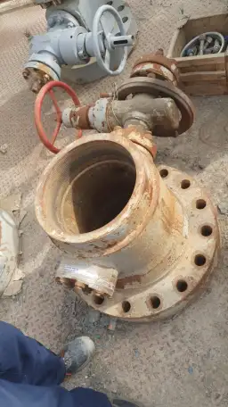 Арматура фонтанная тройниковая и колонная головка, фотография 2