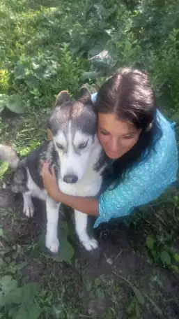 Перпдержка животных, фотография 6