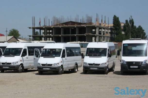 NUR-TRANS прокат авто с водителем и без водителя, фотография 12