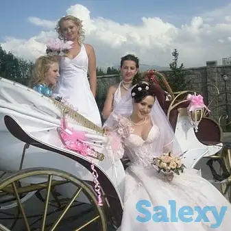 карета Диана аренда, прокат, фотография 3