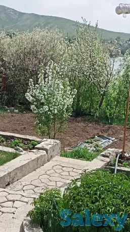 Продаи дачу 2х эт на Иртыше, Металлург-4 ул. Береговая -124, фотография 10