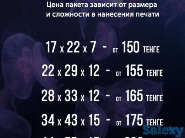 Пакеты с логотипом, фотография 6