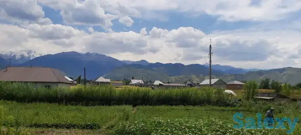 Продам участок 76 соток, р/н Кызыл Кайрат, фотография 8