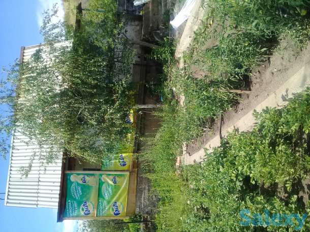 Продам дачу, Меновное, фотография 5