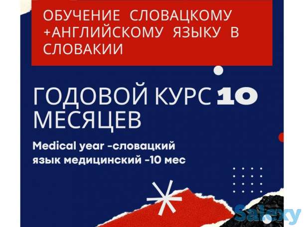 Языковые курсы, фотография 1