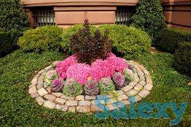 Альпинарии, рокарии, миксбордеры, клумбы, цветники, пруды, ручьи, фонтаны, фотография 4