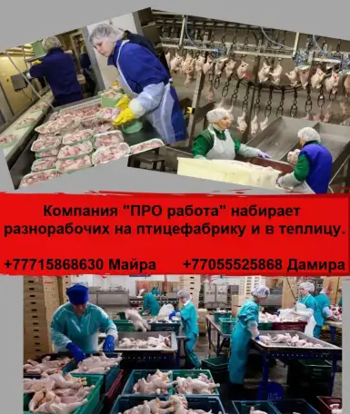 Компания ПРO работа ищeт разнорабочих на работу в птицефабрикy и теплицу, фотография 1