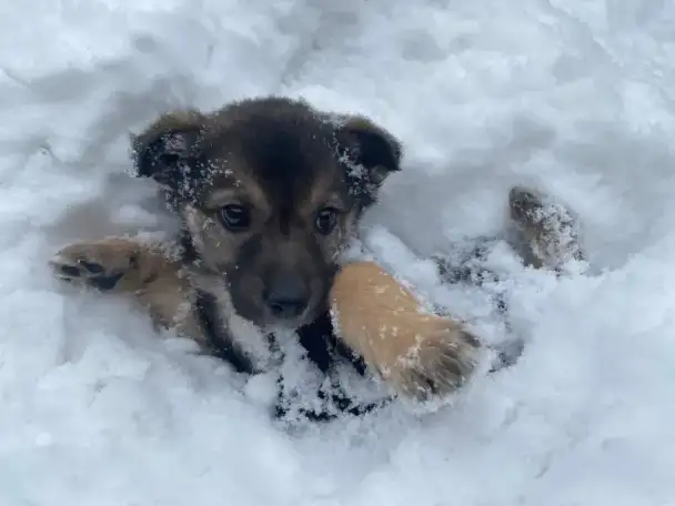 Забери меня к себе, Добрый человек, фотография 8
