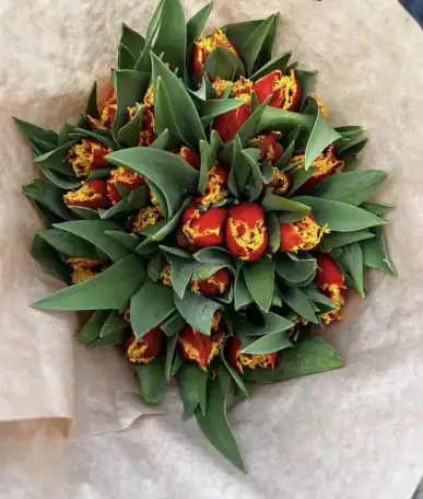 Тюльпаны оптом и в розницу к 8 марта, фотография 1