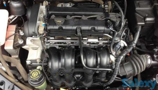 Машина Ford Focus, фотография 6